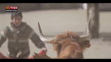 21/08/2012 - Lost & Found-Argentina, corrida incruenta nelle Ande