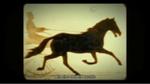 THE STORY OF FILM - il trailer