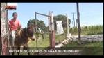 Lost & Found- Messico, scuolabus in sella all'asinello