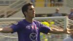 Fiorentina-Catania 2-0
