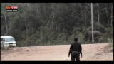 21/09/2012 - Lost & Found: Cambogia, catturato l'elefante pericoloso