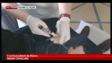 17/10/2012 - Influenza, ministero: ritirati vaccini dal mercato