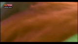 25/10/2012 - Effetto notte - incredibile salvataggio di bambina cinese