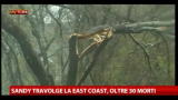 30/10/2012 - Sandy travolge la East Cost, oltre 30 morti