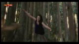 16/11/2012 - Numeri record per l'esordio di Twilight Breaking Dawn 2