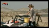 17/11/2012 - Lost&Found, Nuova Zelanda: eutanasia per balene arenate
