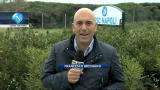 19/11/2012 - Napoli, preparazione per l'Europa League