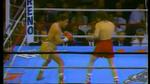 Boxe, ferito Hector "Macho" Camacho