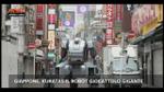 01/12/2012 - Lost&Found, Giappone: robot giocattolo gigante