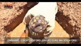 11/12/2012 - Lost & Found: Zimbabwe, cercatori d'oro