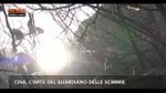 12/12/2012 - Lost&Found, Cina: l'arte del guardiano delle scimmie