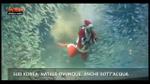 12/12/2012 - Lost&Found, Sud Korea: Natale ovunque, anche sott'acqua