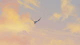 29/12/2012 - ZAMBEZIA - il trailer