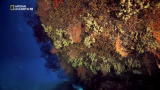 09/01/2013 - Concordia - Un anno dopo