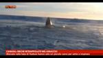 10/01/2013 - Canada, orche intrappolate nel ghiaccio