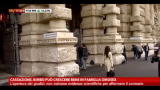 11/01/2013 - Cassazione, bimbo può crescere bene in famiglia omosex