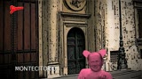 Gli Sgommati - Il giaguaro rosa