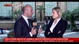 XVII Legislatura, il commento di Celeste Costantino