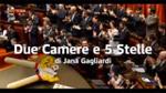 16/03/2013 - Speciale Sky TG24: Due Camere e 5 stelle