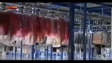 04/04/2013 - Accuse a Zara, sfrutta lavoratori immigrati in Argentina