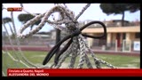 08/04/2013 - Nuovo raid vandalico contro la squadra anticlan