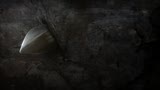 22/04/2013 - Spartacus - Il promo