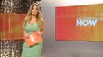 26/04/2013 - Celebrity Now: anticipazioni