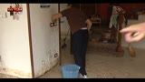 17/05/2013 - Maltempo, una vittima in Veneto