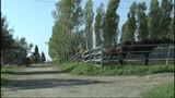 20/05/2013 - Domani smetto - la clip dell'ottava puntata