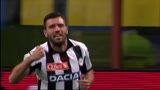 Tutti i gol di Domizzi