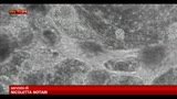 20/05/2013 - Staminali, sì della Camera al decreto balduzzi