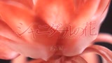 22/05/2013 - FLOWER OF SHANIDAR - il trailer