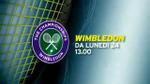 07/06/2013 - Wimbledon 2013 su Sky Sport