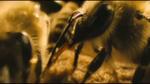 11/06/2013 - UN MONDO IN PERICOLO - il trailer