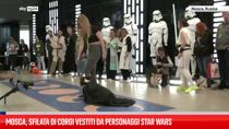 Mosca, sfilata di corgi vestiti da personaggi Star Wars 
