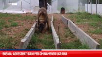 Bosnia, addestrati cani per sminamento Ucraina