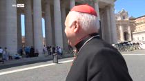 Verso il conclave, il cardinale Nemet: 