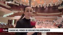 FLASH, viaggio nel mondo dei Berliner Philharmoniker