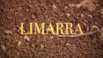 VIDEO - Limarra presenta Abbi Cura