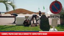 Cannes, palma cade sulla Croisette: uomo ferito grave