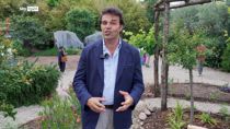 Mario Faro: Sicilia punto di incontro di paesaggisti da tutto il mondo