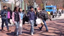 Trump vieta ad Harvard di ammettere studenti stranieri