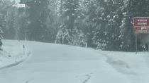 Alto Adige, torna l'inverno: neve fino a 1.600 metri