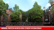 Harvard, protesta in difesa degli studenti internazionali