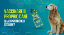 Vaccinazioni per cani: come proteggere loro e noi