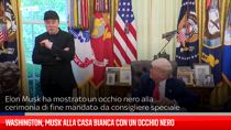 Washington, Musk alla Casa Bianca con un occhio nero