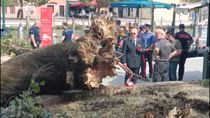 Venezia, albero cade su turisti, ferite diverse persone