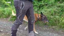 Donna scomparsa, ritrovato senza vita il corpo di Denisa