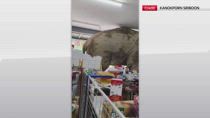 Thailandia, elefante entra in minimarket e mangia snack