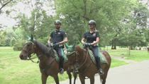Milano, avviato servizio Polizia a cavallo nelle aree verdi